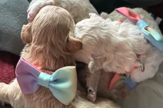 TO REAL FOR THE GAMES 😘 - Image 4